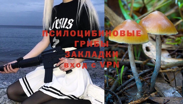твердый Нягань