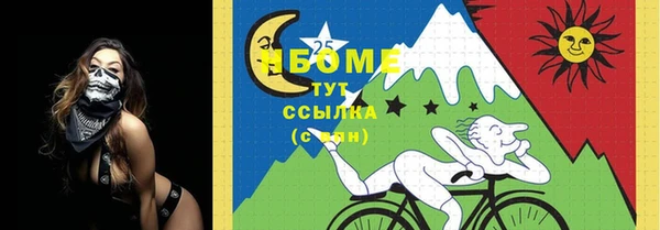первитин Няндома