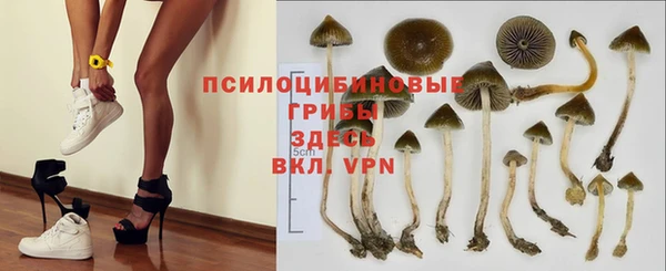 дмт Осинники