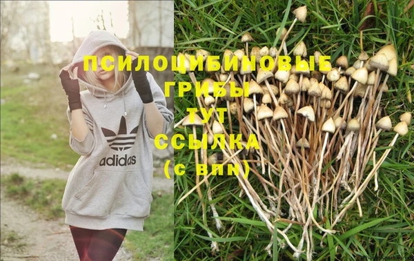 твердый Нягань