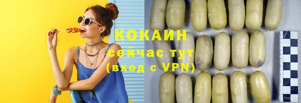 первитин Няндома