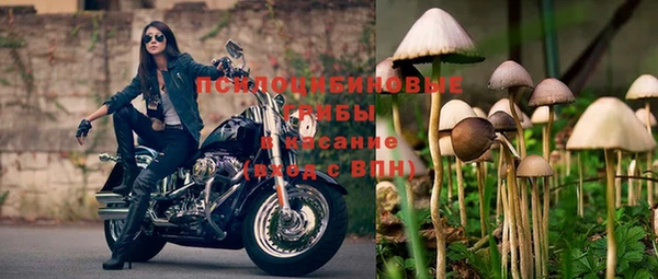тгк Нязепетровск