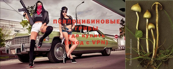 твердый Нягань