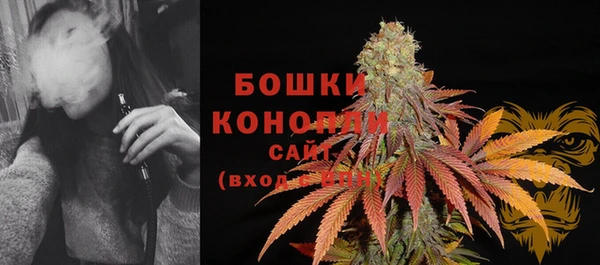 дмт Осинники