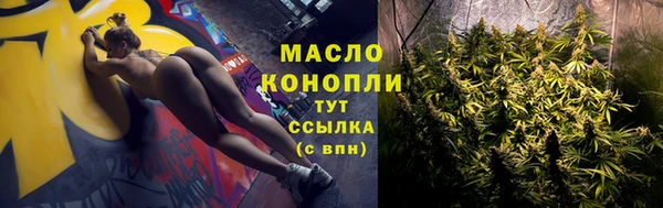 дмт Осинники