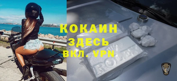 дмт Осинники