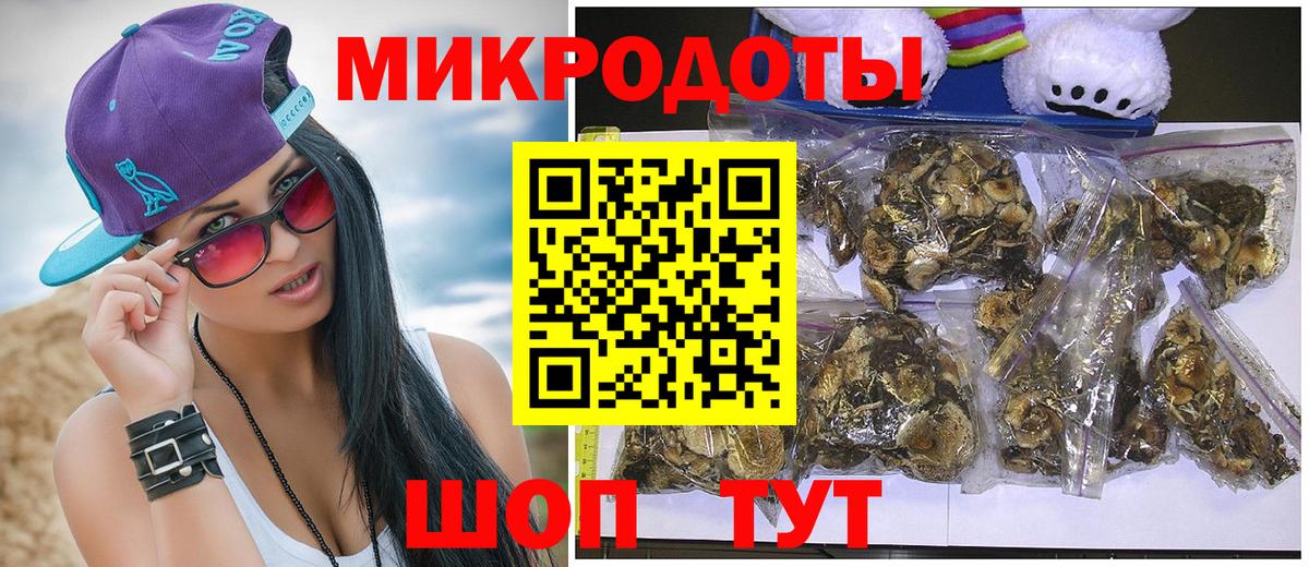 Псилоцибиновые грибы Psilocybe Белореченск