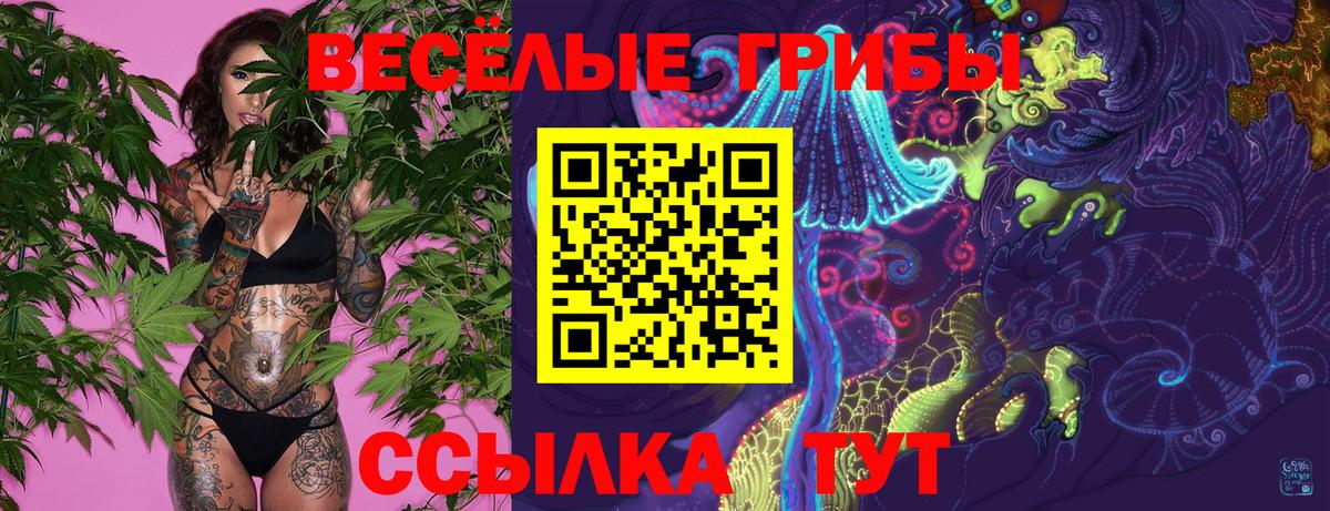 Галлюциногенные грибы GOLDEN TEACHER  Псилоцибиновые грибы GOLDEN TEACHER  Вход с VPN  Белореченск 