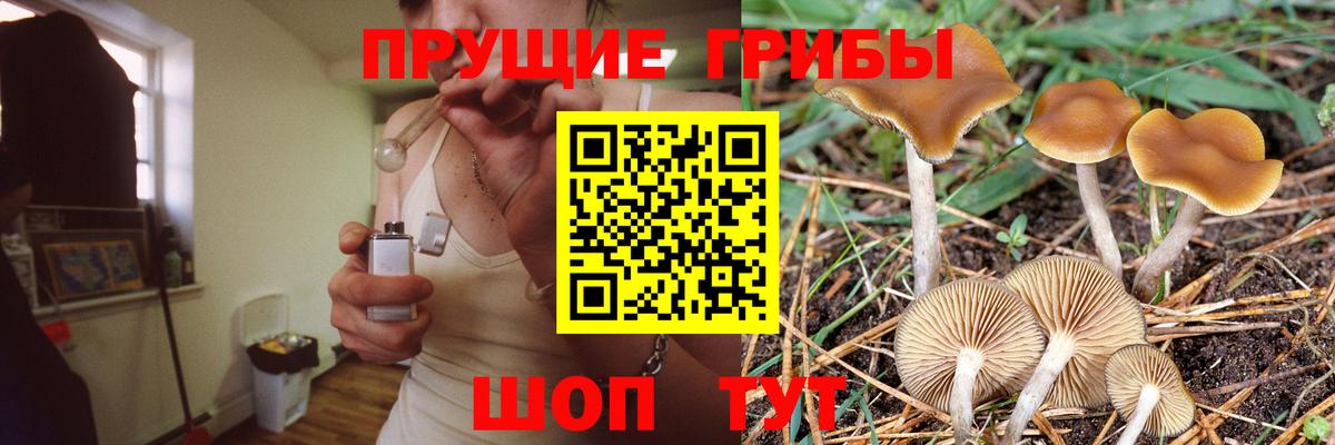 Псилоцибиновые грибы GOLDEN TEACHER Белореченск