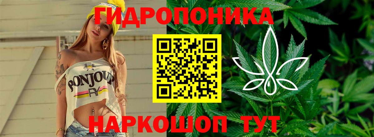 Марихуана конопля  Вход с VPN  Канабис VHQ  Шишки марихуана ГИДРОПОН  Бошки марихуана гибрид  Белореченск 